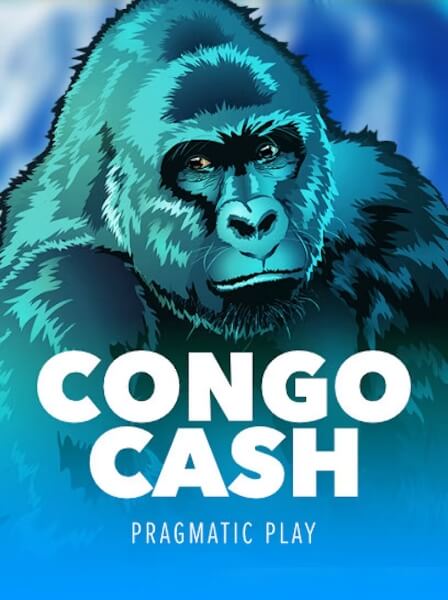 Cách chơi Poker Việt Nam cho người mới bắt đầu